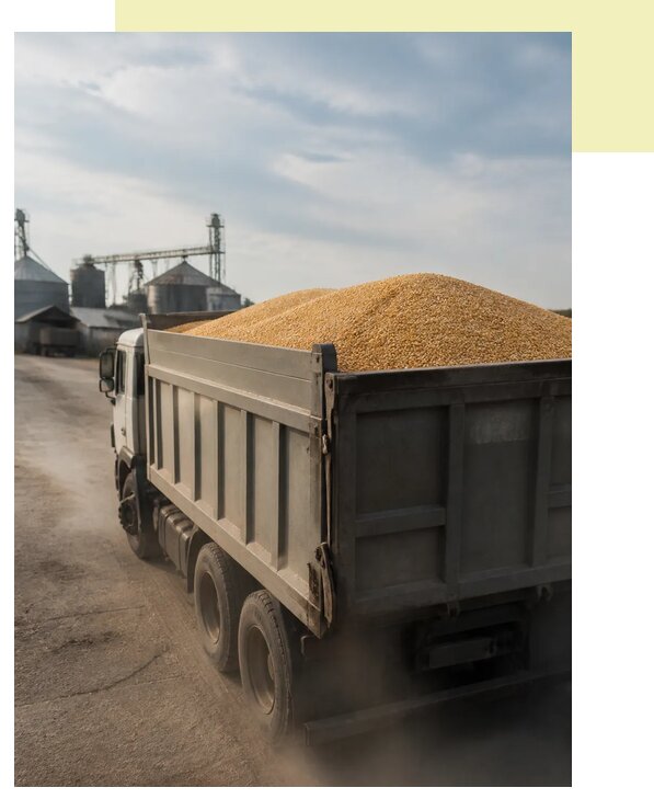 Перевозка сельхозпродукции навалом в Киржач по цене от 3093 р. | Агросервис-Крж